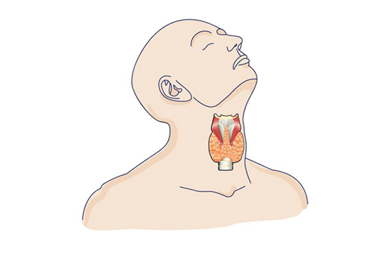 271590546553377603.jpg 0527.jpg