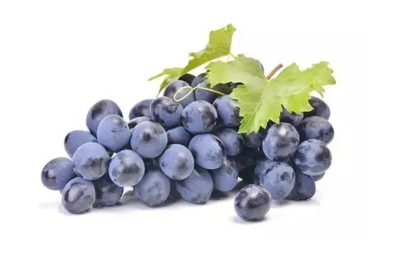 281627462607393181.jpg 7.28.jpg