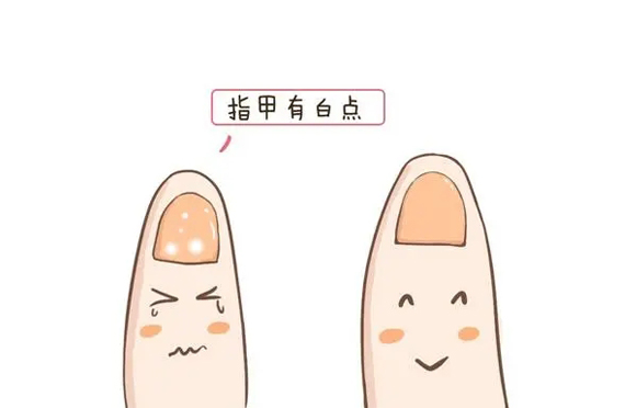 071630997714332893.jpg 9.073.jpg