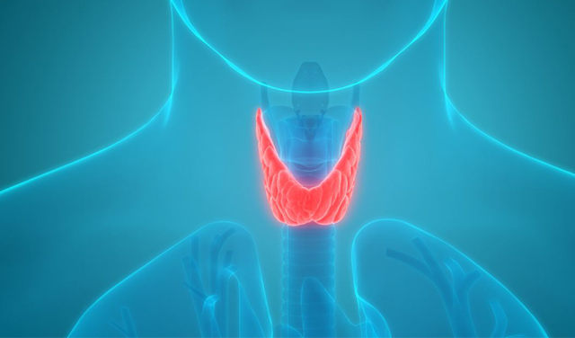 111641893427389997.jpg 01113.jpg