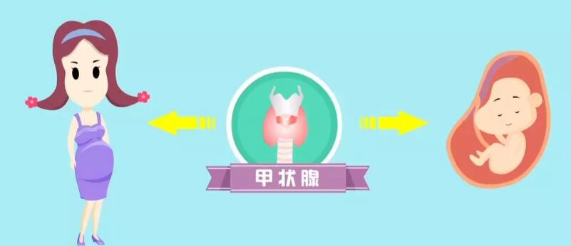 221713771490858828.jpg QQ截圖20231113155517.jpg